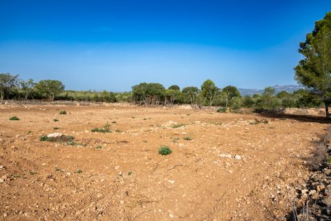 Finca i La Galera, Tarragona, La Galera - € 15 000 | Ref: 88 - foto 5