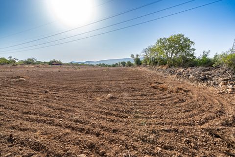 Finca i La Galera, Tarragona, La Galera - € 15 000 | Ref: 88 - foto 4