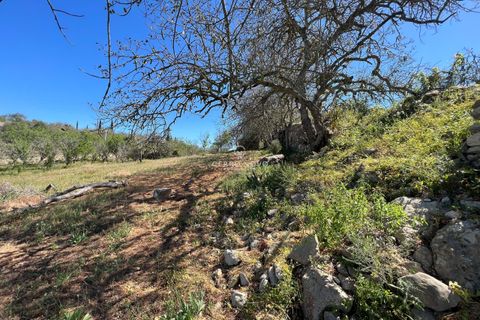 Ruïna a Paderne, Faro, Paderne - € 220.000 | Ref: CN10100 - foto 5