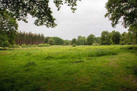 Landejendom i Vilalba, Lugo, Vilalba - € 225.000 | Ref: 1774 - foto 17