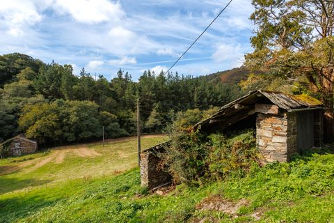 Farm hus i Ourol, Lugo, Ourol - € 240.000 | Ref: 1420 - foto 22