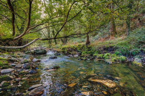 Farm hus i Ourol, Lugo, Ourol - € 240.000 | Ref: 1420 - foto 28