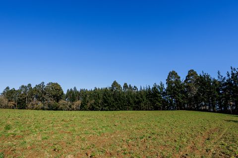 Erhvervsejendom i Abegondo, Coruna, Abegondo - € 180.000 | Ref: 1255 - foto 13
