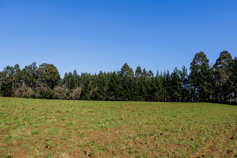 Erhvervsejendom i Abegondo, Coruna, Abegondo - € 180.000 | Ref: 1255 - foto 24