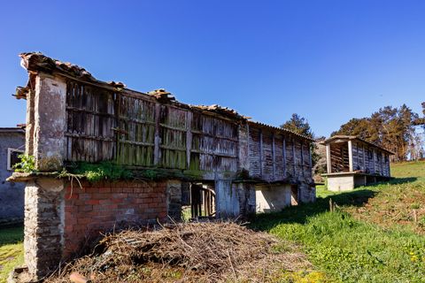 Erhvervsejendom i Abegondo, Coruna, Abegondo - € 180.000 | Ref: 1255 - foto 26