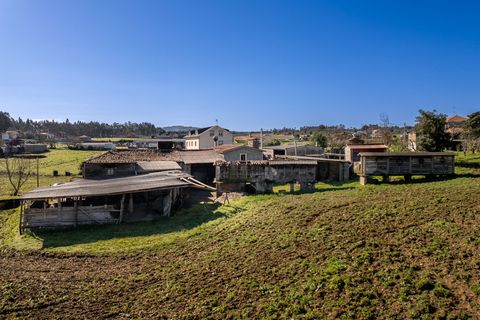 Erhvervsejendom i Abegondo, Coruna, Abegondo - € 180.000 | Ref: 1255 - foto 28