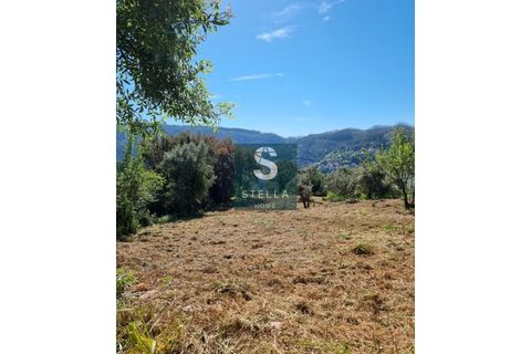 Helårsgrund i Coimbra, Coimbra, Coimbra - € 35.000 | Ref: SH0028/2024 - foto 5
