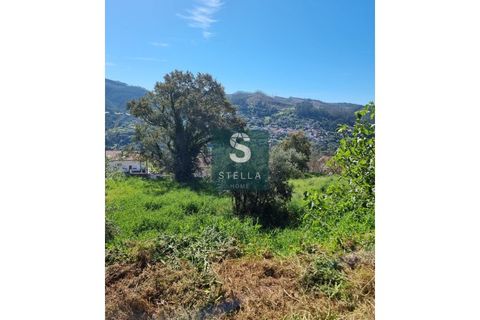 Helårsgrund i Coimbra, Coimbra, Coimbra - € 35.000 | Ref: SH0028/2024 - foto 7