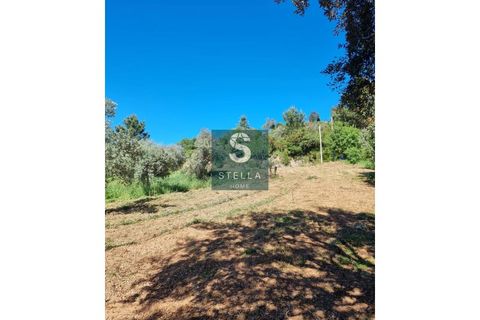 Helårsgrund i Coimbra, Coimbra, Coimbra - € 35.000 | Ref: SH0028/2024 - foto 8