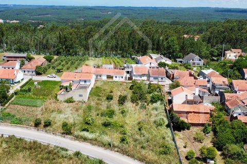Helårsgrund i Alcobaca, Leiria, Alcobaca - € 110.000 | Ref: TE1450 - foto 6