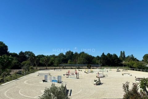Villa i Montpellier, Herault, Montpellier - € 1.790.000 | Ref: 2618-ANG - foto 10