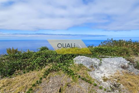 Helårsgrund i Calheta, Madeira, Calheta - € 465.000 | Ref: Q2392 - foto 5