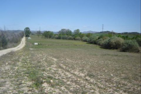 Terra a Belmonte, Castelo Branco, Belmonte - € 55.000 | Ref: 111090066 - foto 3