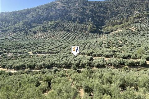 Cortijo i Rute, Cordoba, Rute - € 78.000 | Ref: CJ881 - foto 3