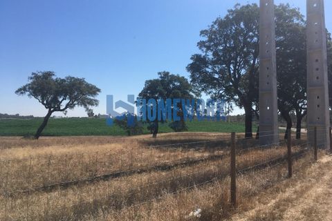 Helårsgrund i Palmela, Setubal, Palmela - € 58.000 | Ref: HW.006.009 - foto 3