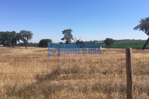 Helårsgrund i Palmela, Setubal, Palmela - € 58.000 | Ref: HW.006.009 - foto 4