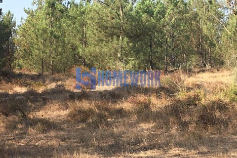 Helårsgrund i Palmela, Setubal, Palmela - € 58.000 | Ref: HW.006.009 - foto 7