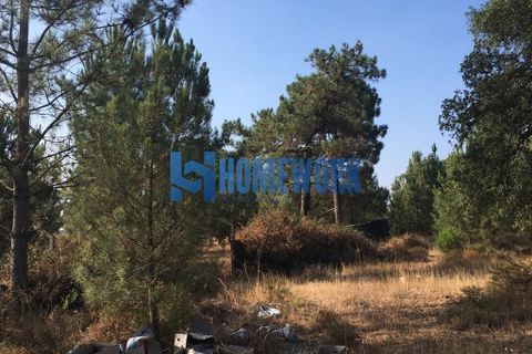 Helårsgrund i Palmela, Setubal, Palmela - € 58.000 | Ref: HW.006.009 - foto 8