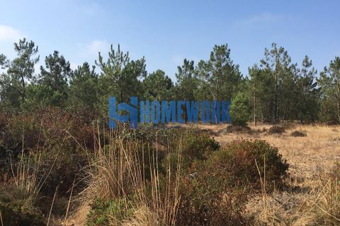 Helårsgrund i Palmela, Setubal, Palmela - € 58.000 | Ref: HW.006.009 - foto 10