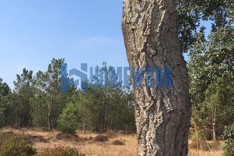 Helårsgrund i Palmela, Setubal, Palmela - € 58.000 | Ref: HW.006.009 - foto 11