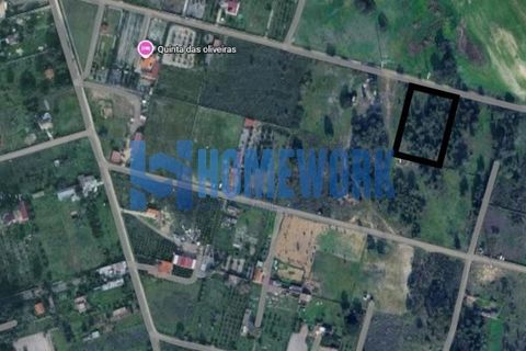 Helårsgrund i Palmela, Setubal, Palmela - € 58.000 | Ref: HW.006.009 - foto 15