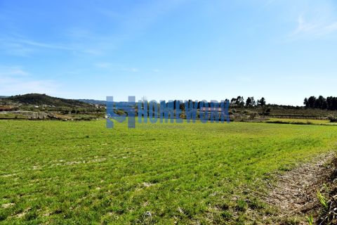 Byhus i Belmonte, Castelo Branco, Belmonte - € 310.000 | Ref: HW.011.003 - foto 4
