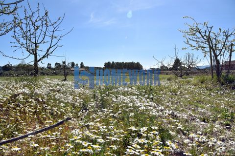 Byhus i Belmonte, Castelo Branco, Belmonte - € 310.000 | Ref: HW.011.003 - foto 6