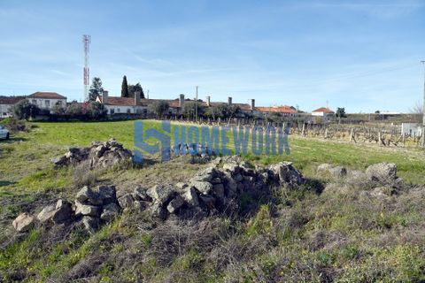 Byhus i Belmonte, Castelo Branco, Belmonte - € 310.000 | Ref: HW.011.003 - foto 28