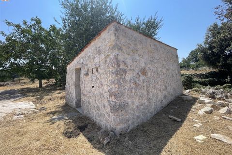 Farm hus i Noci, Bari, Noci - € 295.000 | Ref: 102 - foto 11