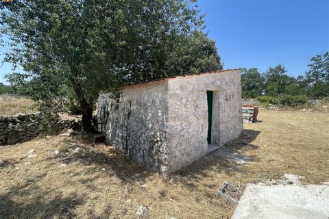 Farm hus i Noci, Bari, Noci - € 295.000 | Ref: 102 - foto 12