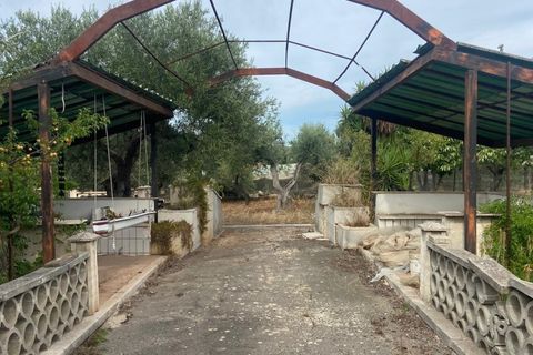 Terra a Valenzano, Bari, Valenzano - € 25.000 | Ref: RGB-363 - 64 - foto 4