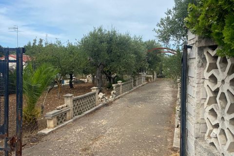 Terra a Valenzano, Bari, Valenzano - € 25.000 | Ref: RGB-363 - 64 - foto 5