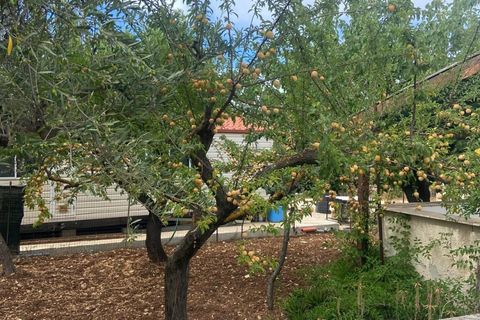 Terra a Valenzano, Bari, Valenzano - € 25.000 | Ref: RGB-363 - 64 - foto 6