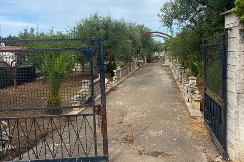 Terra a Valenzano, Bari, Valenzano - € 25.000 | Ref: RGB-363 - 64 - foto 7