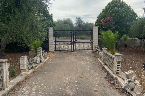 Terra a Valenzano, Bari, Valenzano - € 25.000 | Ref: RGB-363 - 64 - foto 8