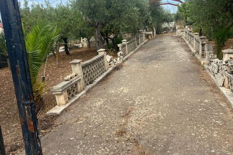 Terra a Valenzano, Bari, Valenzano - € 25.000 | Ref: RGB-363 - 64 - foto 9
