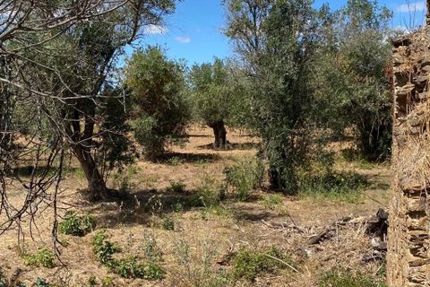 Helårsgrund i Serra, Santarem, Serra - € 15.800 | Ref: C0277-00678 - foto 1