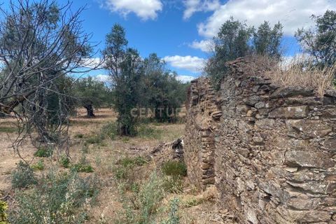 Helårsgrund i Serra, Santarem, Serra - € 15.800 | Ref: C0277-00678 - foto 3