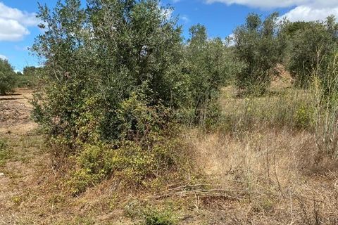 Helårsgrund i Serra, Santarem, Serra - € 15.800 | Ref: C0277-00678 - foto 4
