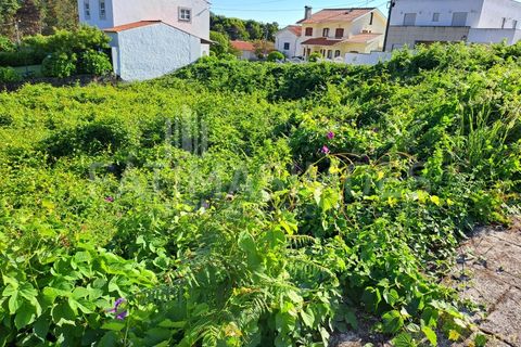 Helårsgrund i Viana do Castelo, Viana do Castelo, Viana do Castelo - € 70.000 | Ref: 966 - foto 2