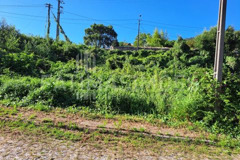 Helårsgrund i Viana do Castelo, Viana do Castelo, Viana do Castelo - € 90.000 | Ref: 965 - foto 3
