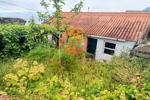 Byhus i Calheta, Sao Jorge, Calheta - € 150.000 | Ref: M950 - foto 4