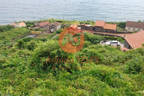 Byhus i Calheta, Sao Jorge, Calheta - € 150.000 | Ref: M950 - foto 6
