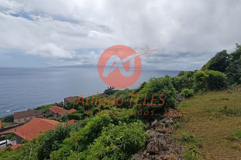 Byhus i Calheta, Sao Jorge, Calheta - € 150.000 | Ref: M950 - foto 8