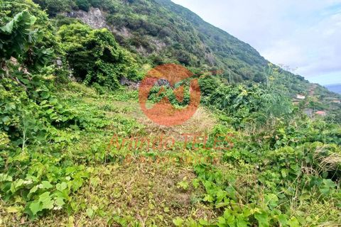 Byhus i Calheta, Sao Jorge, Calheta - € 150.000 | Ref: M950 - foto 9