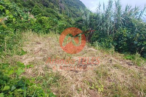 Byhus i Calheta, Sao Jorge, Calheta - € 150.000 | Ref: M950 - foto 10
