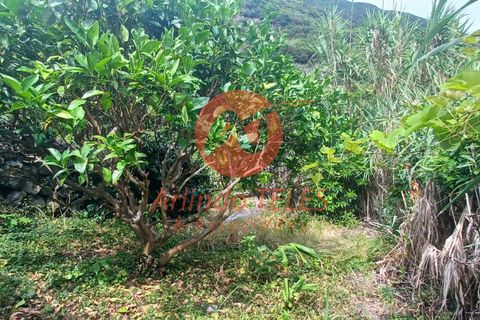 Byhus i Calheta, Sao Jorge, Calheta - € 150.000 | Ref: M950 - foto 12