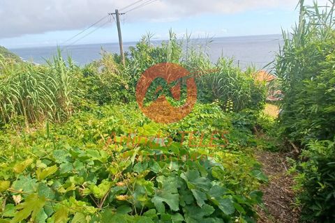 Byhus i Calheta, Sao Jorge, Calheta - € 150.000 | Ref: M950 - foto 13