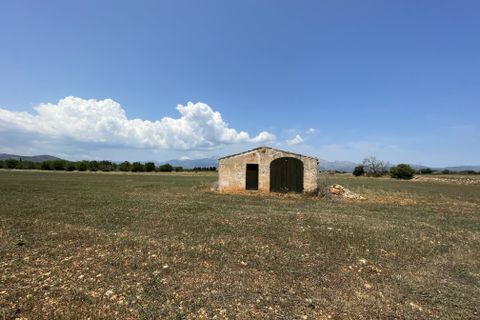 Tomt i Llubi, Mallorca, Llubi - € 215 000 | Ref: 79889 - foto 2