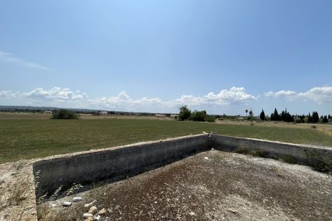 Tomt i Llubi, Mallorca, Llubi - € 215 000 | Ref: 79889 - foto 5